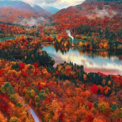 半岛综合体育·官方网站截图