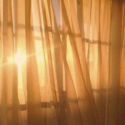 hth会体会官方网页版app下载