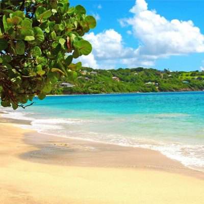 注册就送38的平台手机app下载