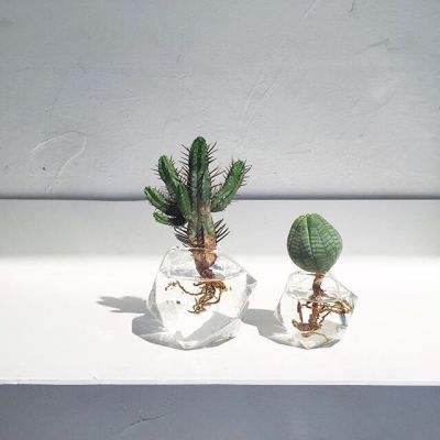 澳门黄金城app苹果下载官网