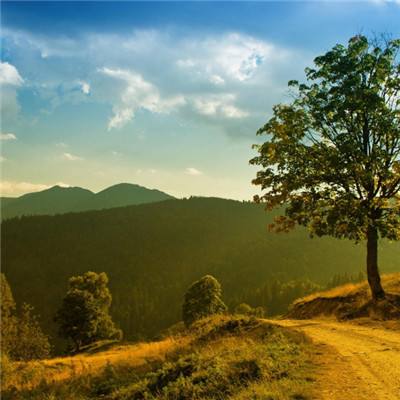 亚博·yabo手机app下载