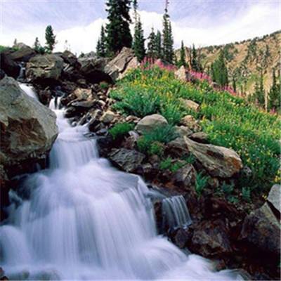 万博·体育app下载