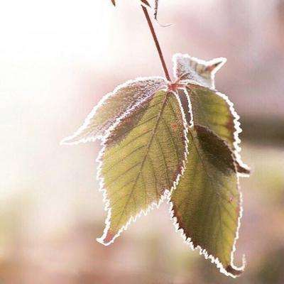 皇冠手机登录地址hg