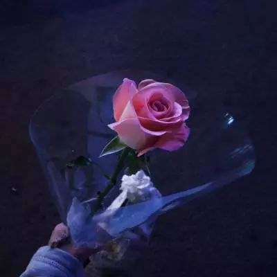 b体育官方体育app下载手机版